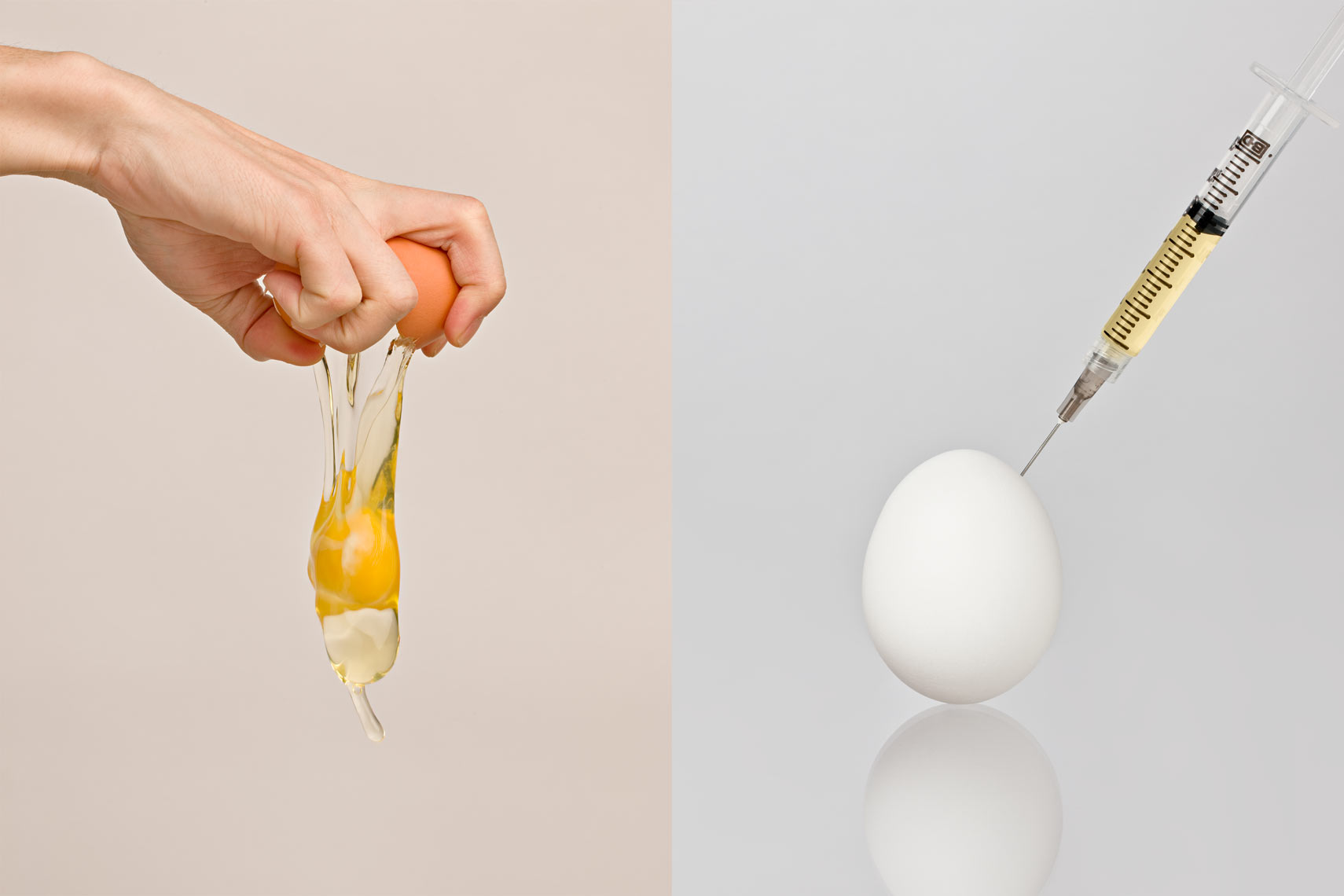 Combined-Egg.jpg
